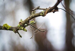 Циклон Niksala принесе в Україну дощі: прогноз погоди на 11 листопада