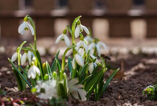 В Україні пройдуть перші дощі: прогноз погоди на 17 березня